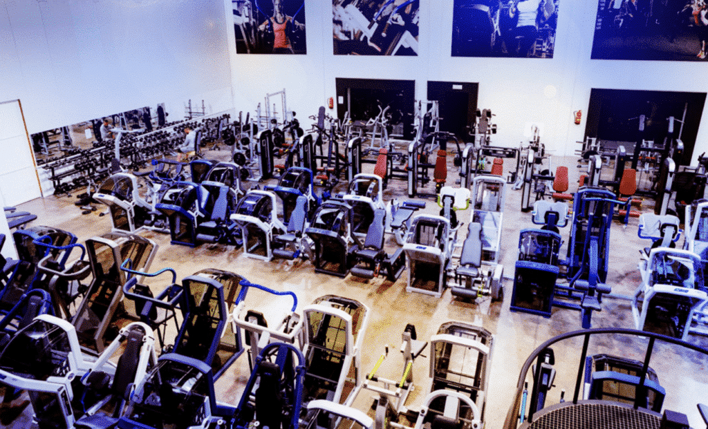 Caso práctico: Gym Rafel X-Force 4