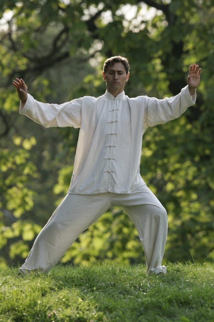 Taiji Quan - Gunther Attarpour