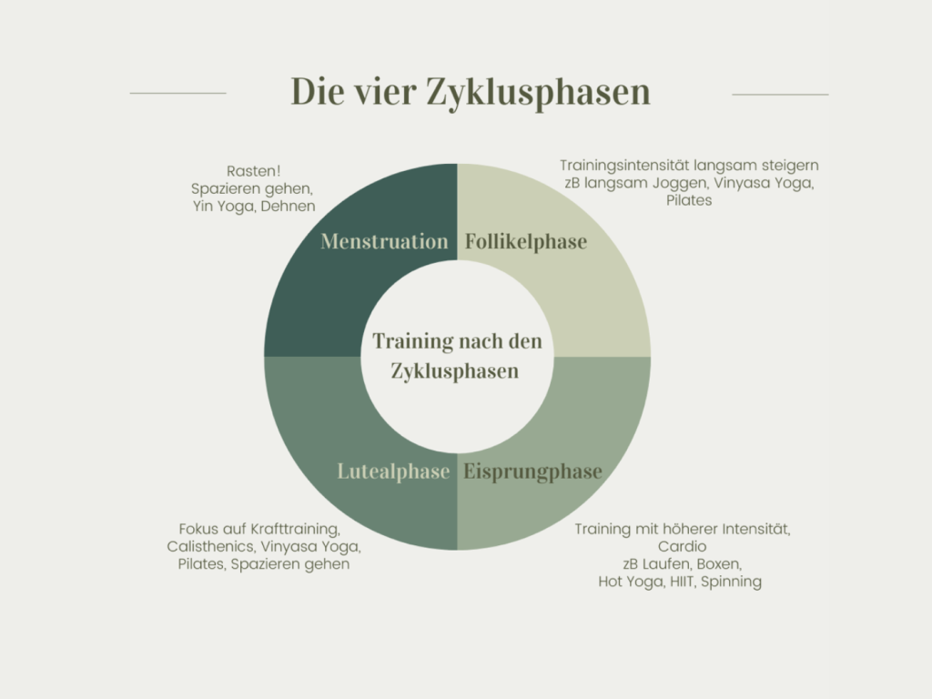 Training nach Zyklus - die vier Zyklusphasen
