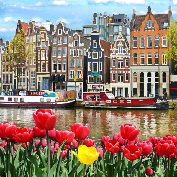 amsterdam_tulips amsterdam_tulpen