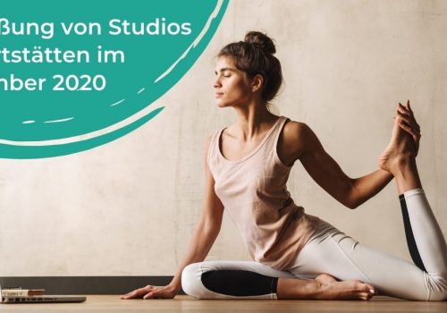 dach-studio-rules-oct. (6)